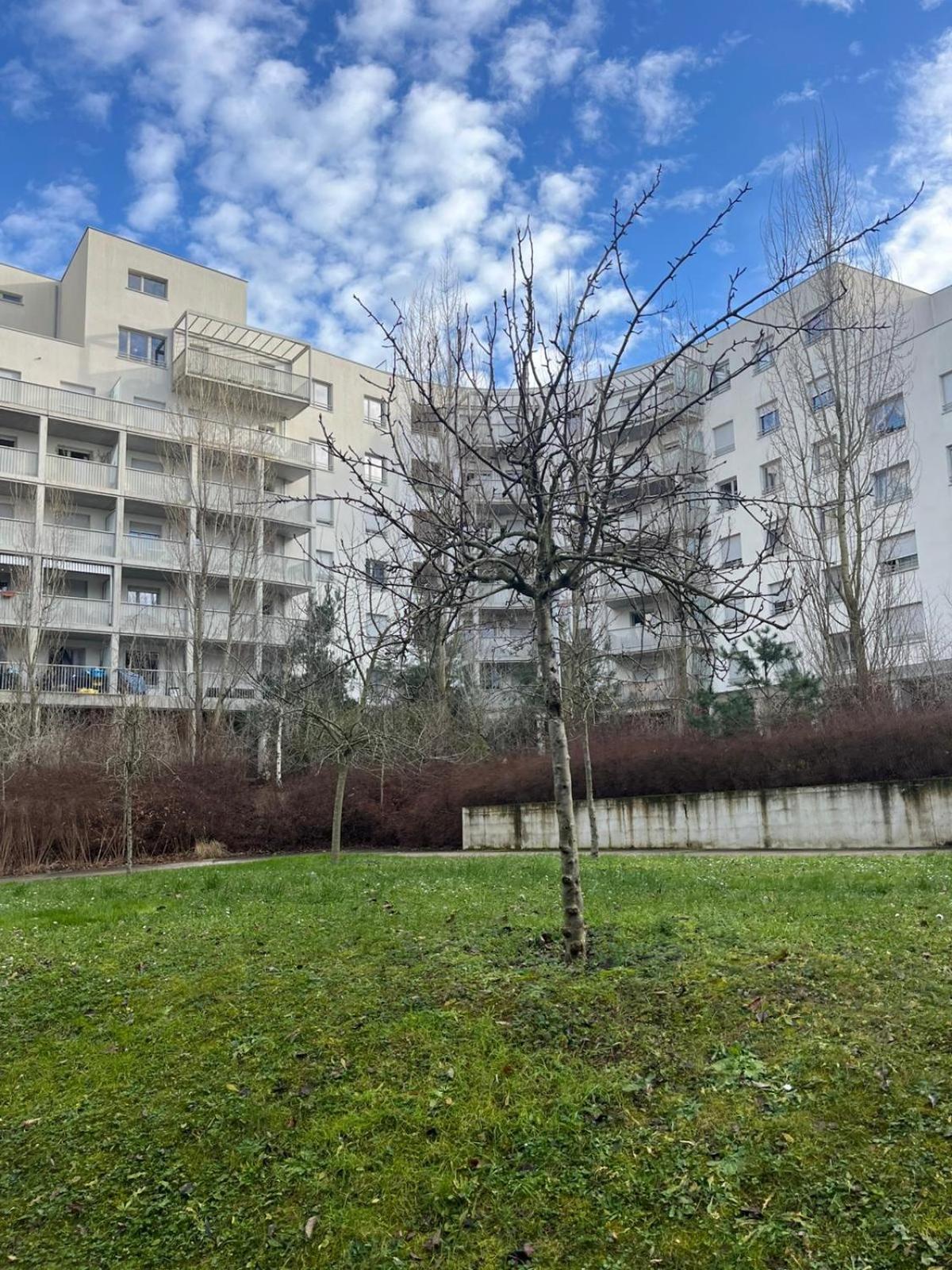 Cozy Studio Near Tram - Center ستراسبورغ المظهر الخارجي الصورة